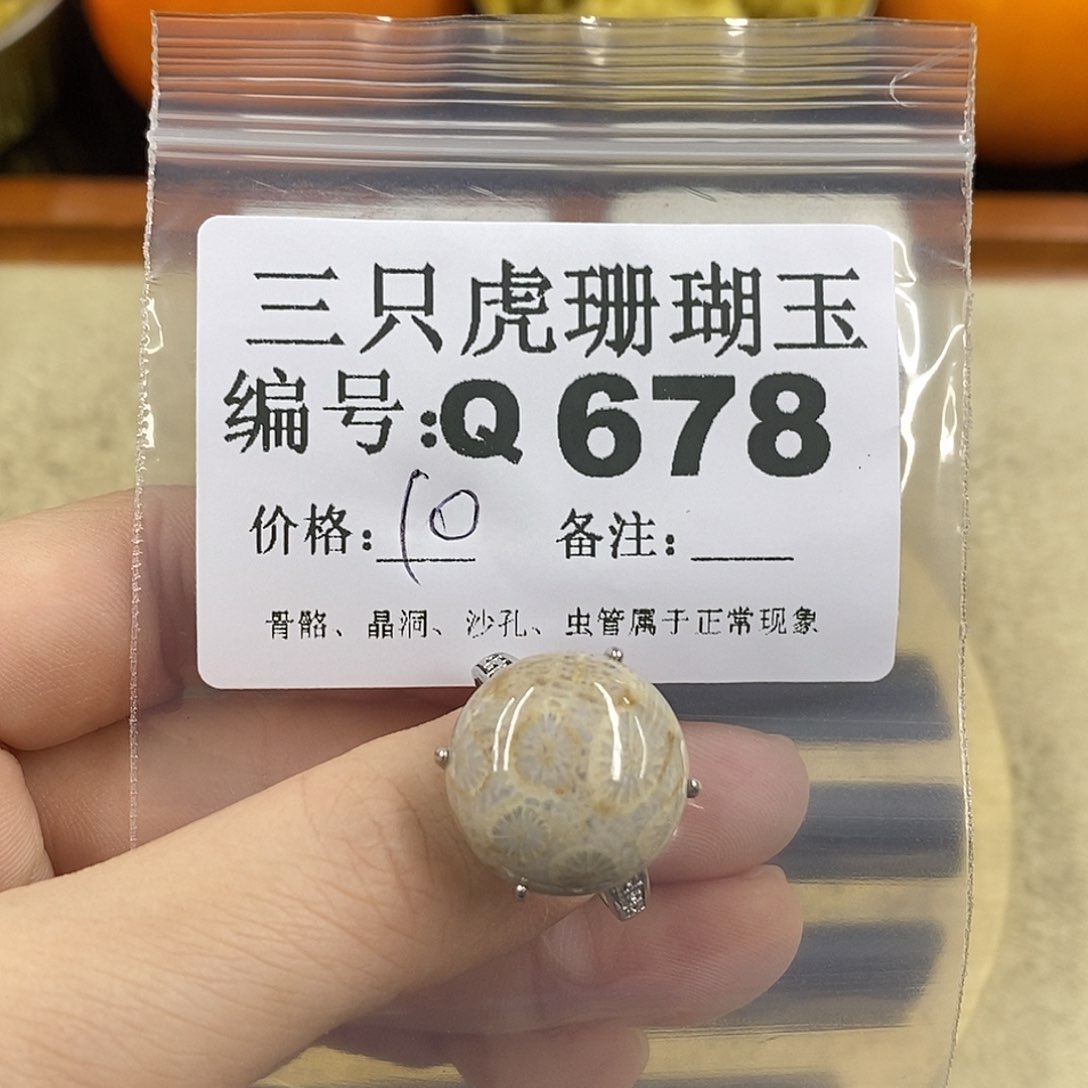 硅化珊瑚（珊瑚玉）1未镶嵌咔*