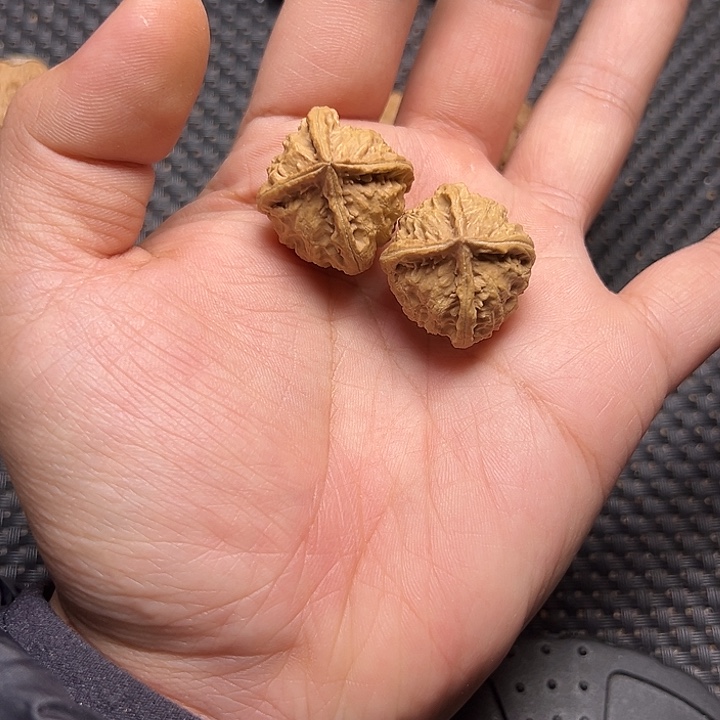 文玩核桃吊坠四棱