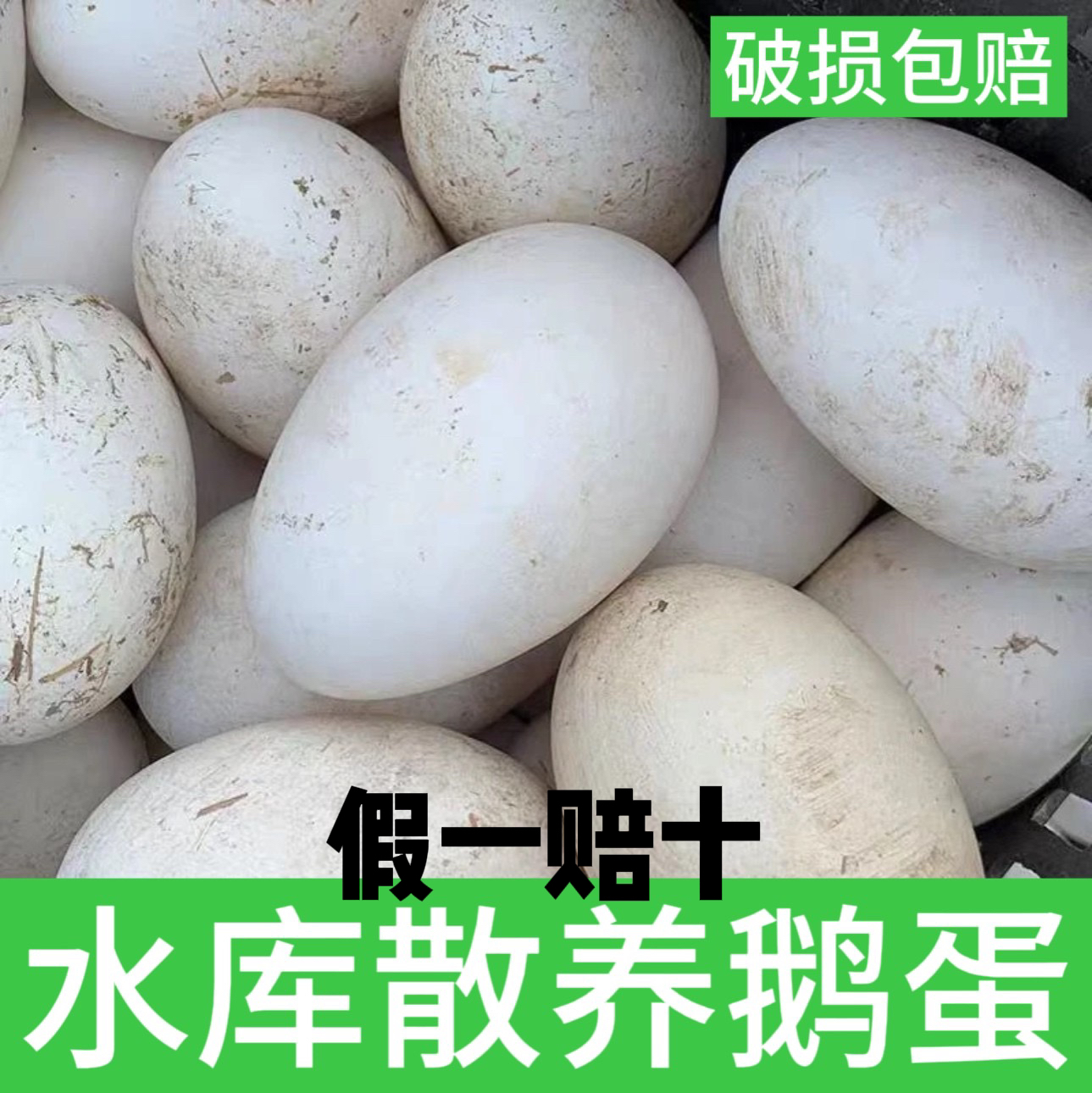 【水库散养】农家土鹅蛋12枚装 五谷放养现捡现发保真新鲜破损包赔