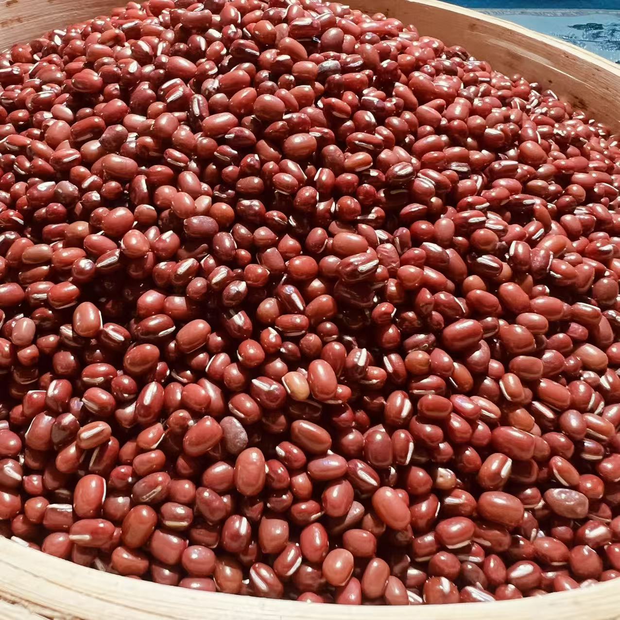 精选农家特级红豆32