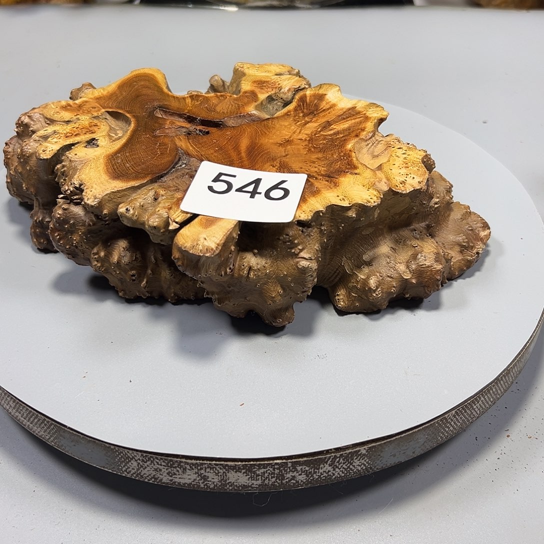 大果紫檀（缅甸花梨）漫**步