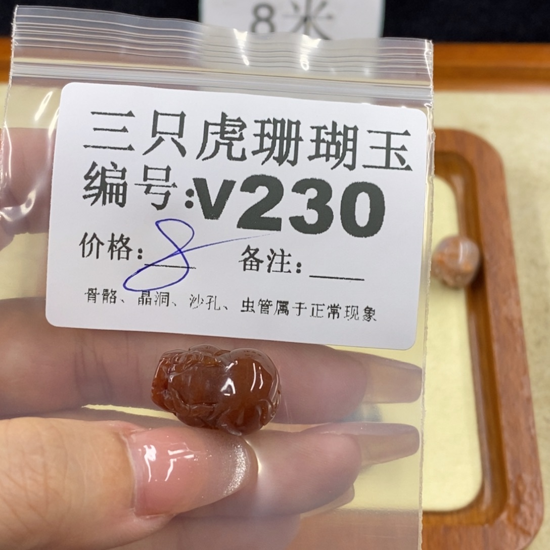 硅化珊瑚（珊瑚玉）未镶嵌1晓*
