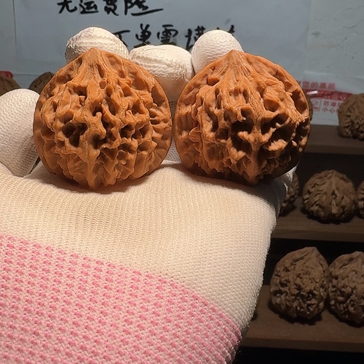 留***秦岭野生帝王官帽