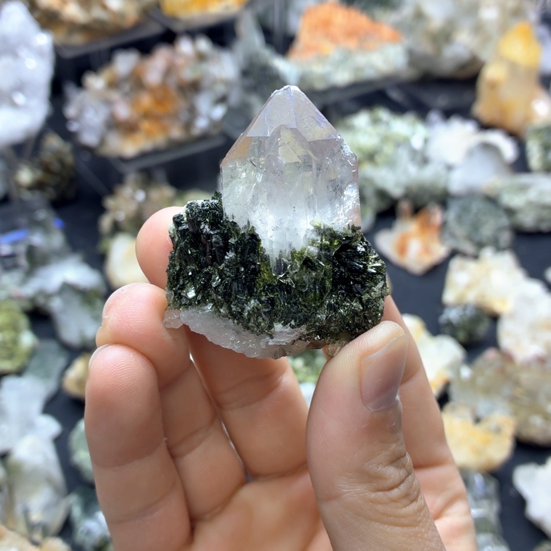 石材一个害羞的花园