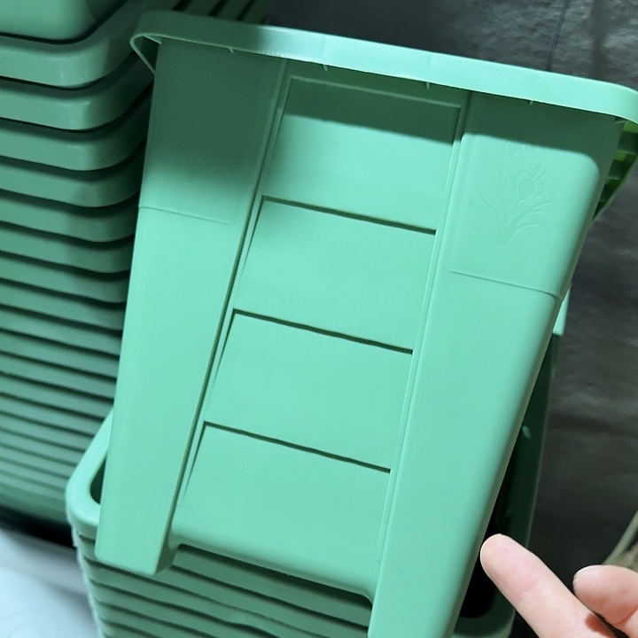 编号303果绿无托6个