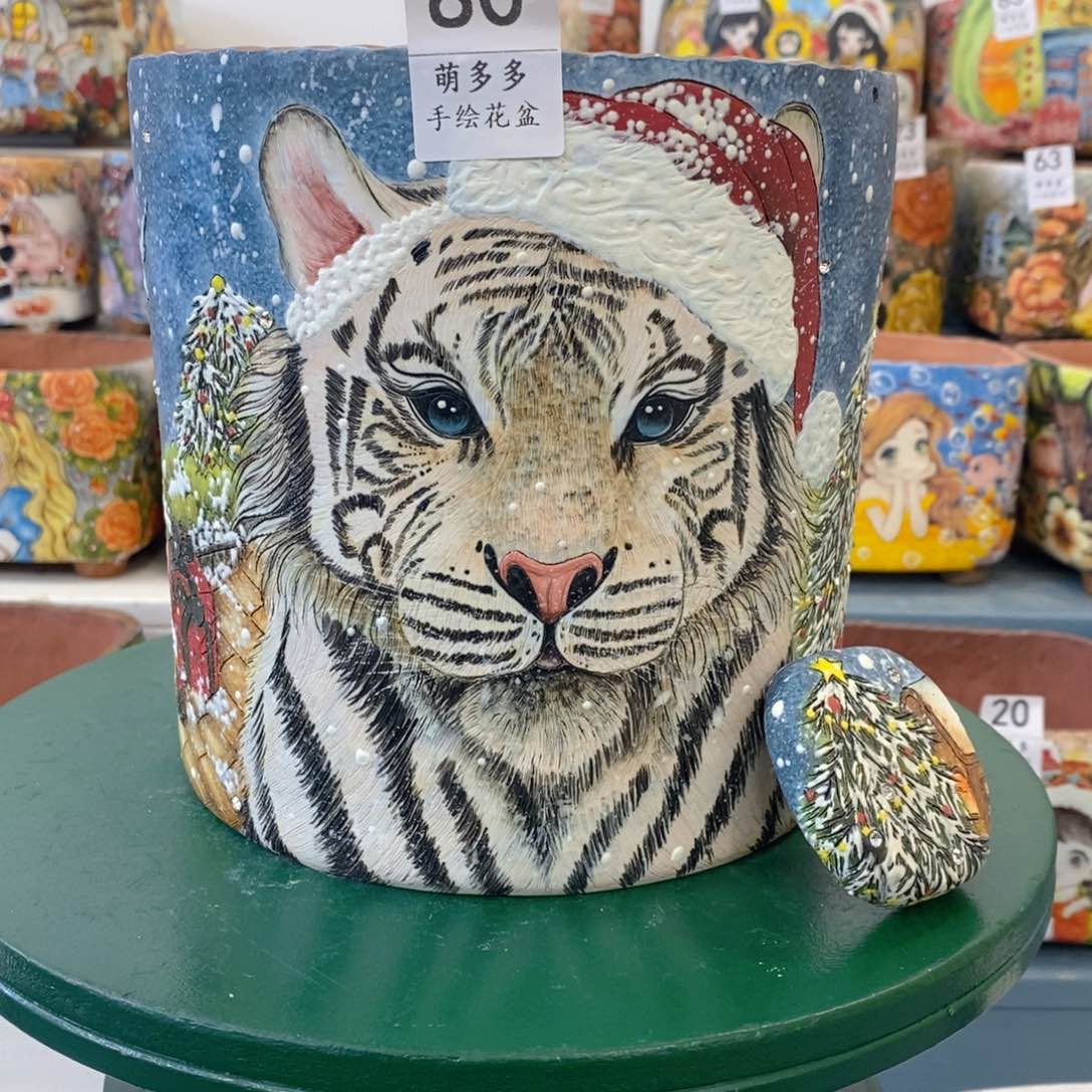 红陶简*?一物一拍放漏