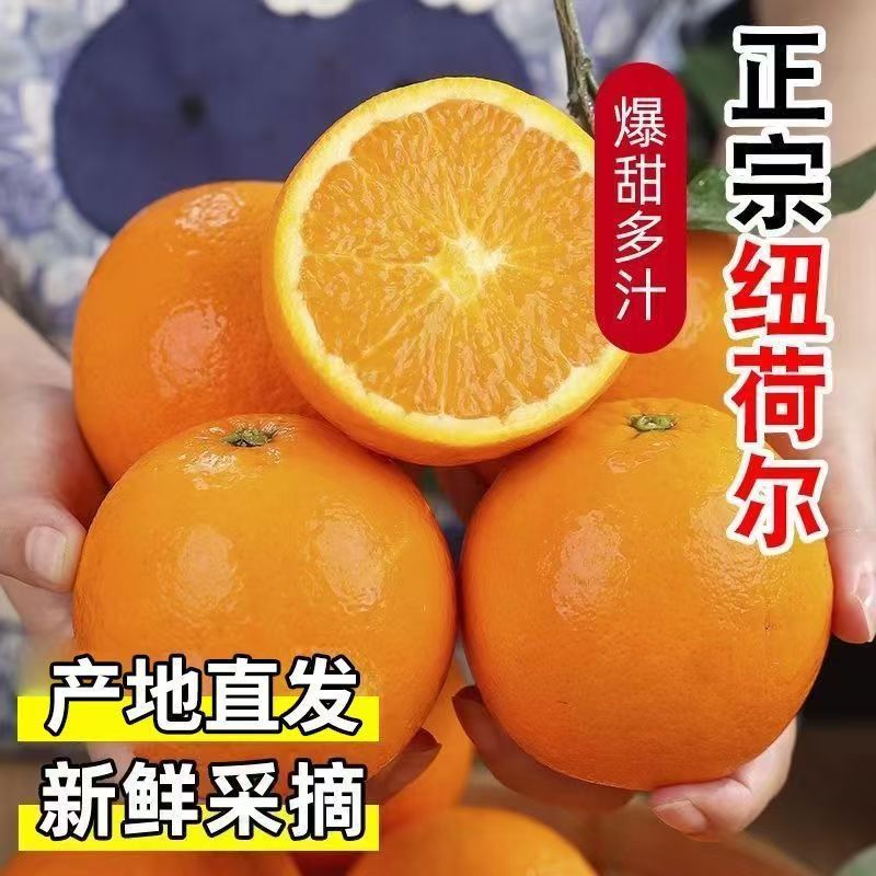 纽荷尔脐橙高山清甜多汁脐橙甜橙榨汁纯甜当季水果60-90mm包邮