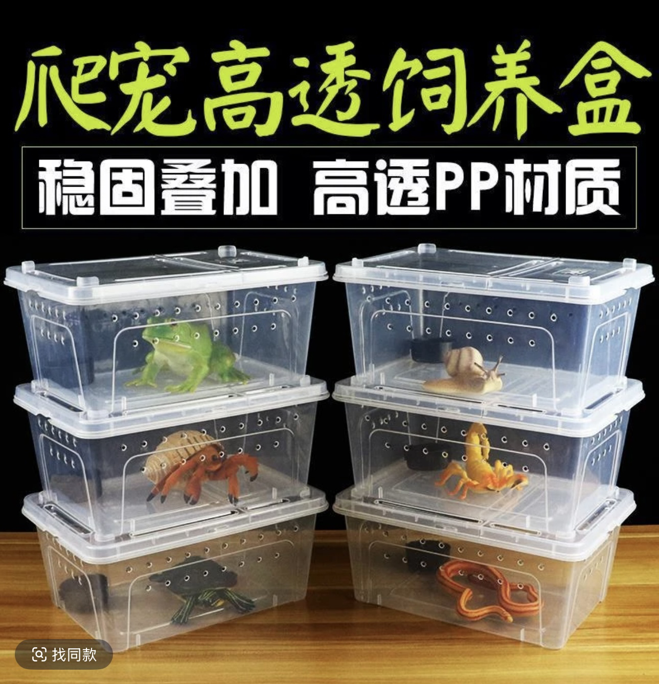 寄居蟹爬宠新手套餐饲养盒 饲养用品 桌面宠物儿童礼物寄居蟹套装