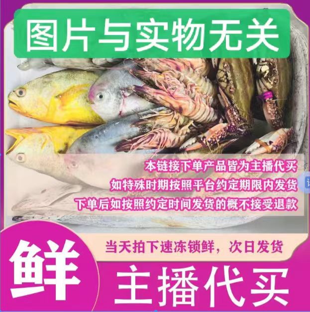 【乌头妹3】阳江现称海鲜 海鱼杂鱼 1-100斤[直播间改价格]