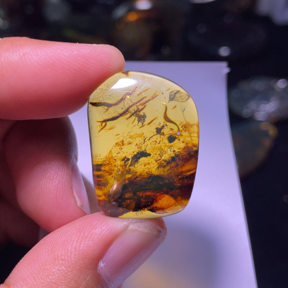 琥珀裸石未镶嵌，