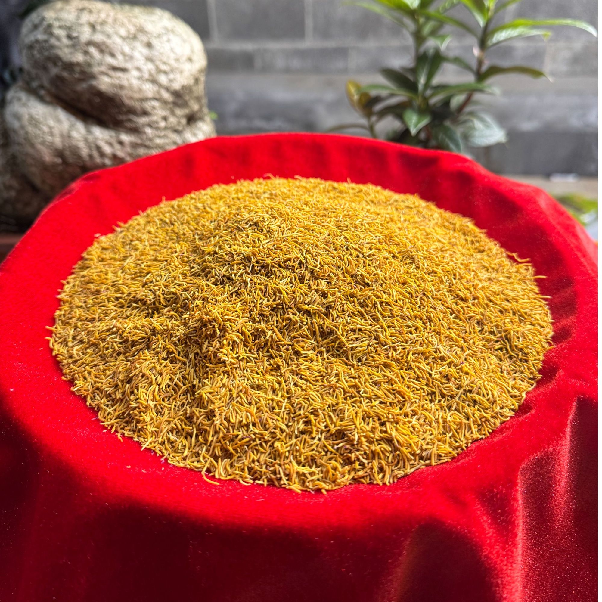 1【黄-金-蕊】净含量：50-500g【小田现收】