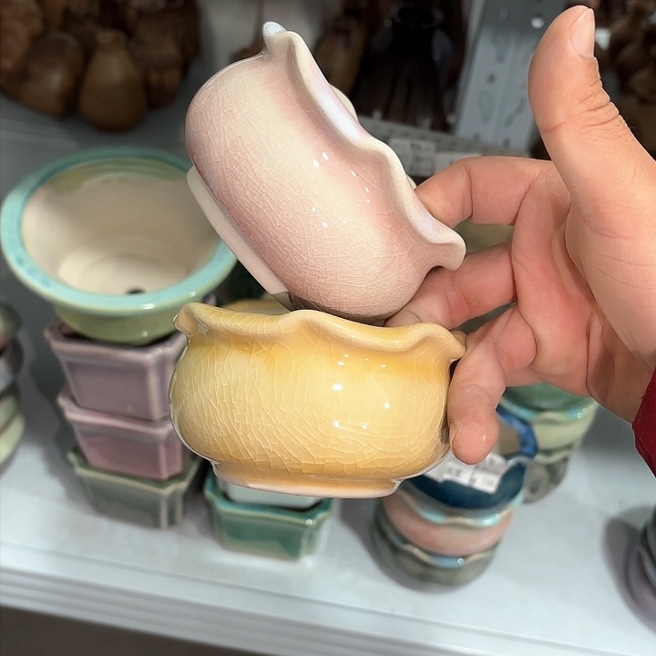 红陶量货｜口8-10高6深浅搭配发4