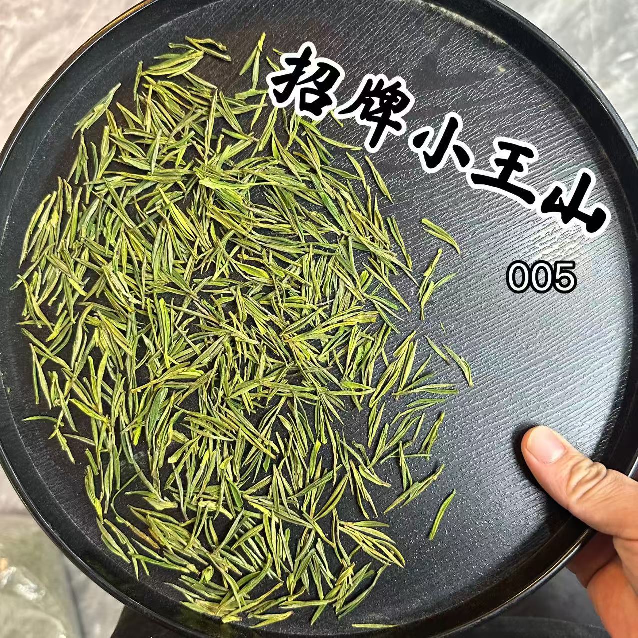 【浙理招牌】扁型小王山005 安吉梅溪白茶  纯粹滋味