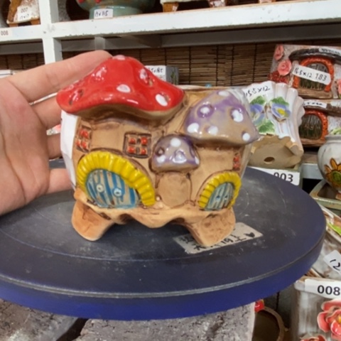【闪购商品】         