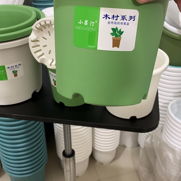 小果汀17口绿5个