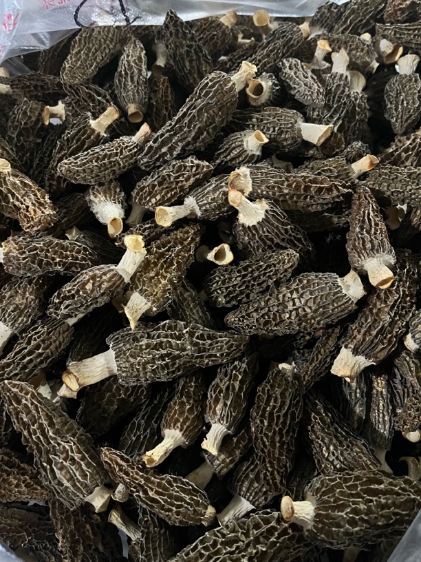 现烤七妹羊肚菌0208