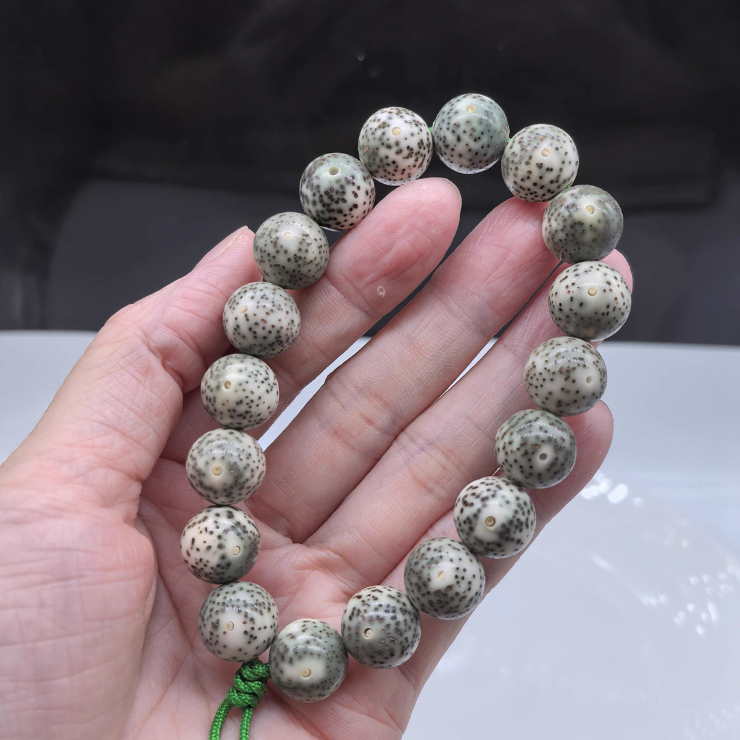 新人福利13X13圆海南毛感料同枝果单圈手串菩提