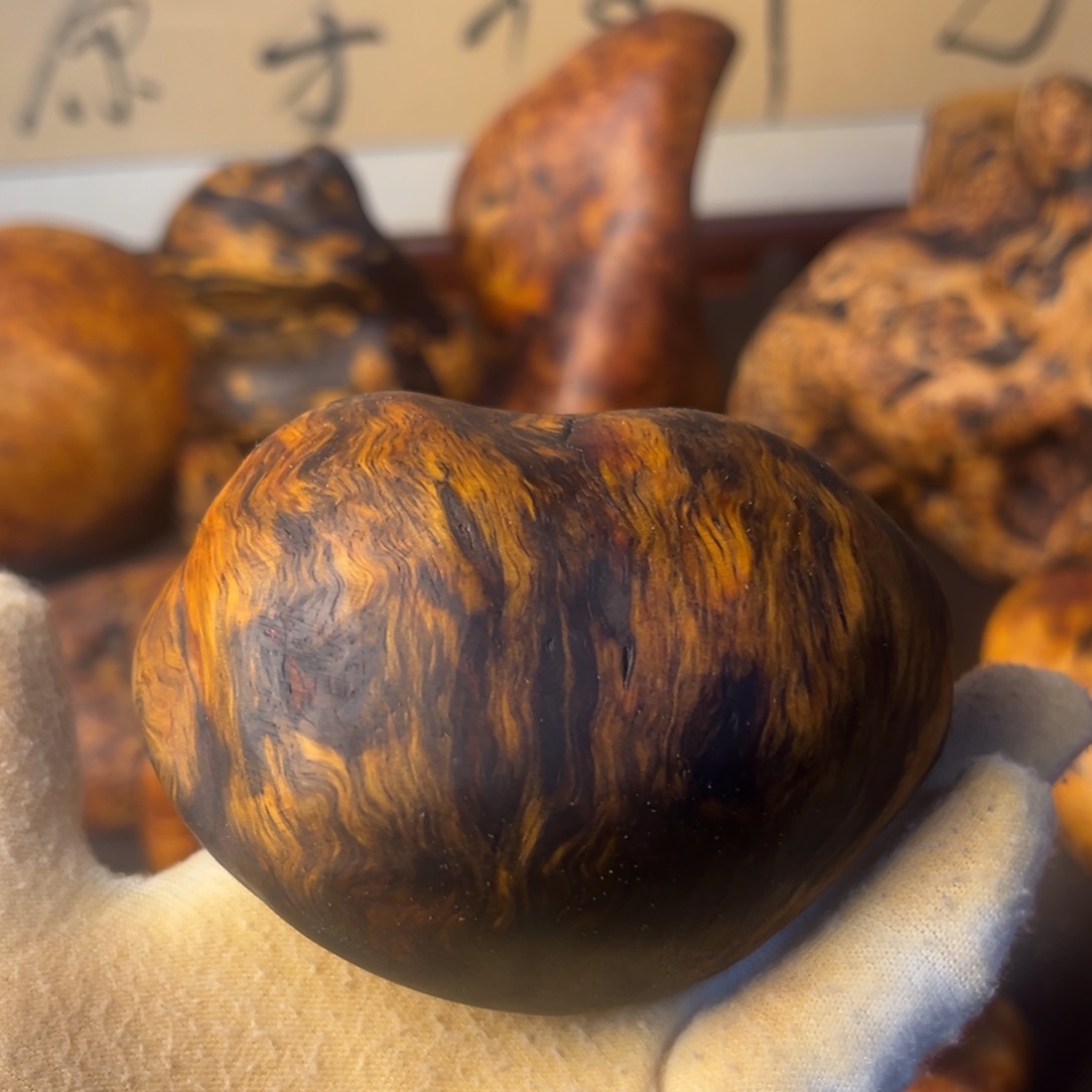 琥珀木长白山琥珀木