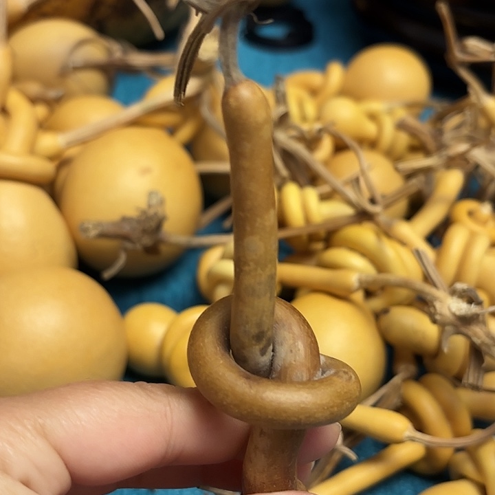 雷****一把葫芦便宜漏了