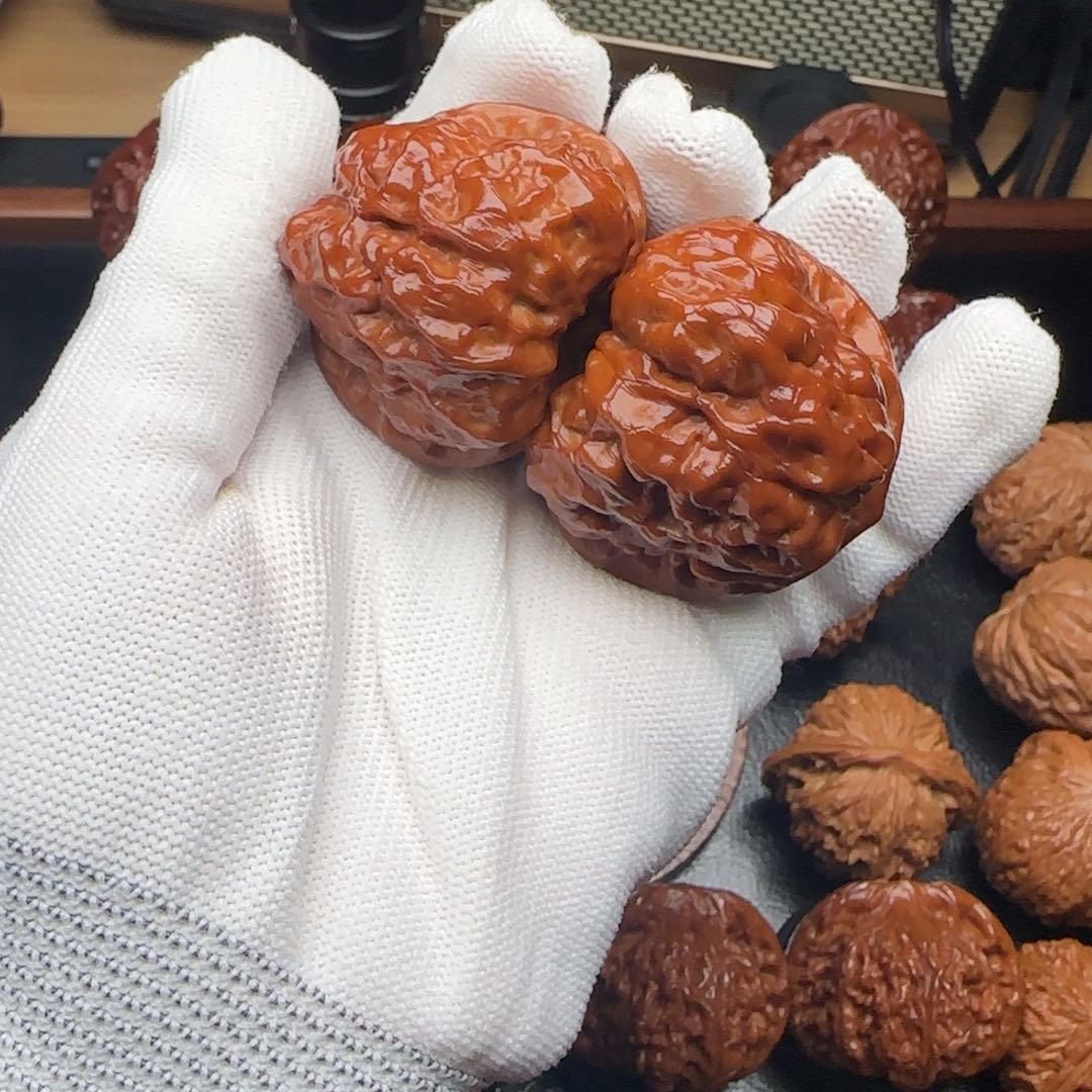 小冉臻选核桃蛤蟆40