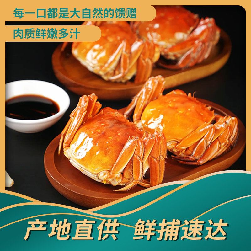 【活蟹】盘锦河蟹【公母混】母1.7-1.4两+公2-1.7两（2斤/3斤）鲜活发货