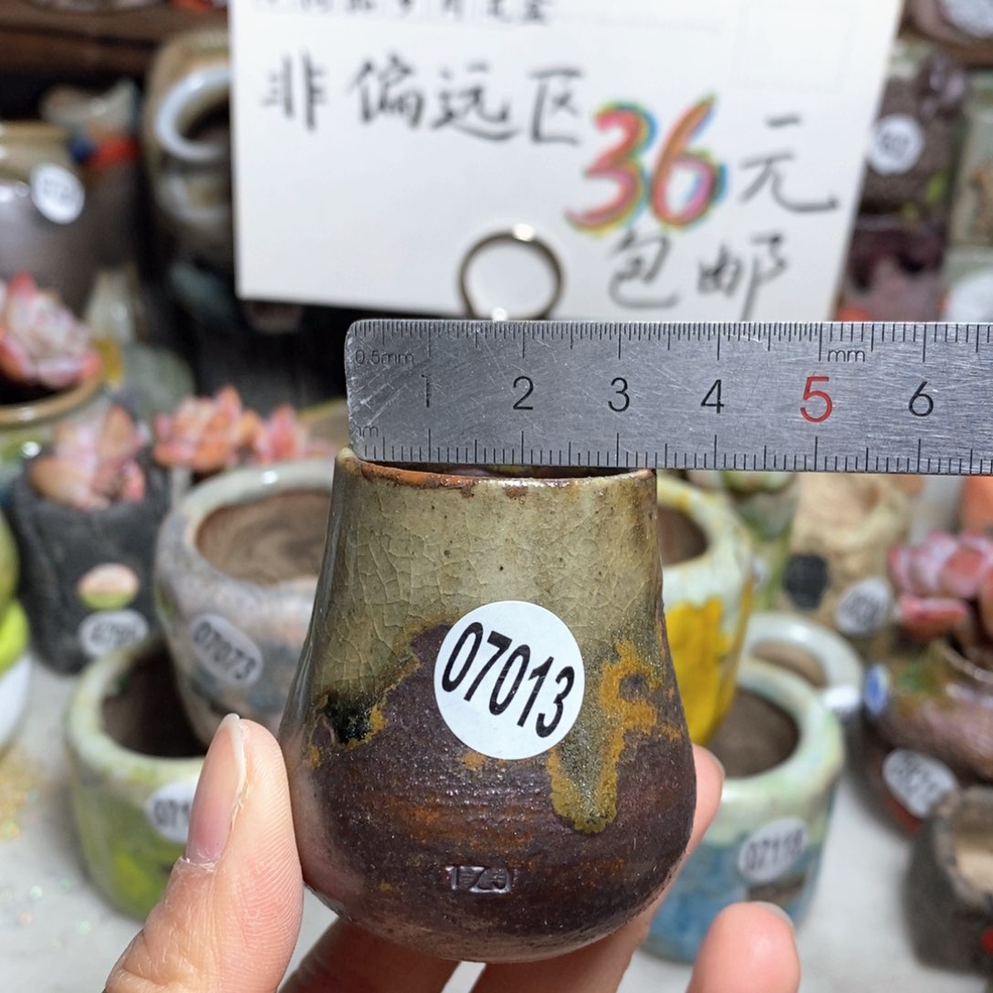 花盆拍5送一个小礼物