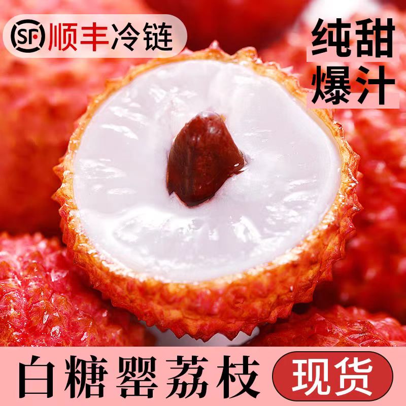 【果园直发】广东高州白糖罂新鲜荔枝水果精品老树大果现摘直发送礼