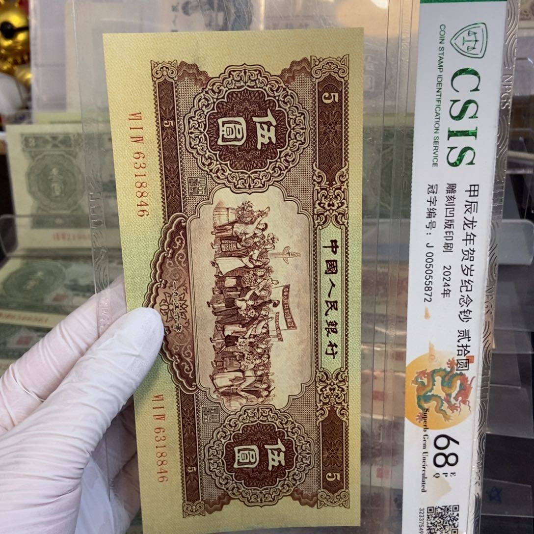 黄五846………………………………