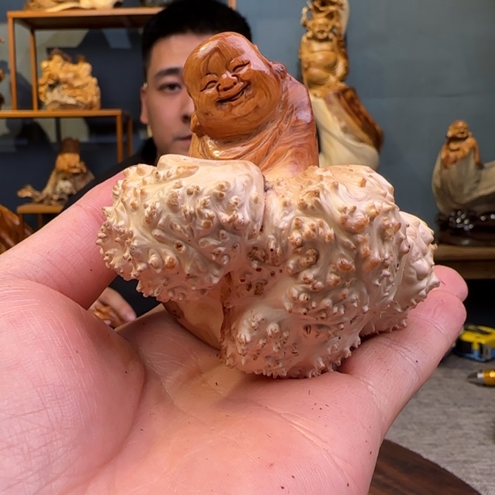 柏木（崖柏）关注一下