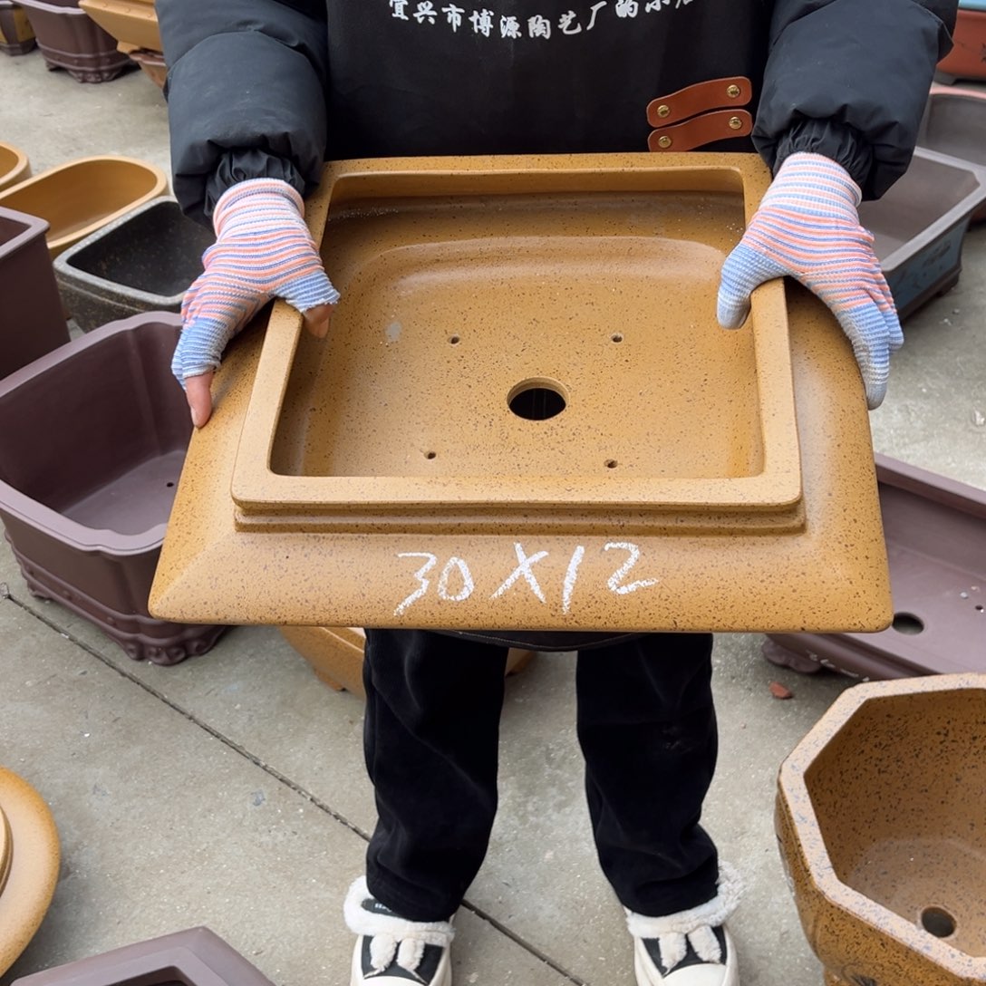 紫砂花盆盆景艺术