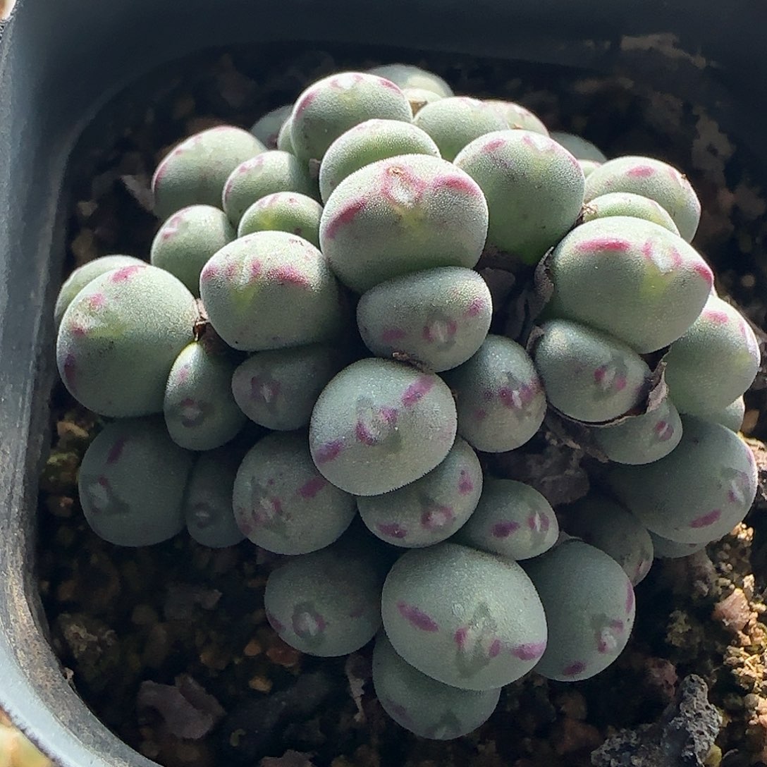 哈哈哈哈哈哈哈57000