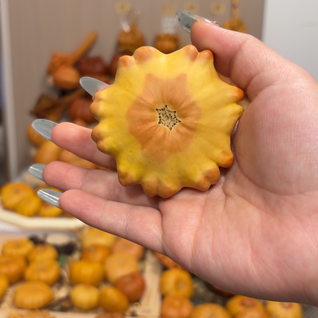 墨西哥葫芦双色小猫花饼