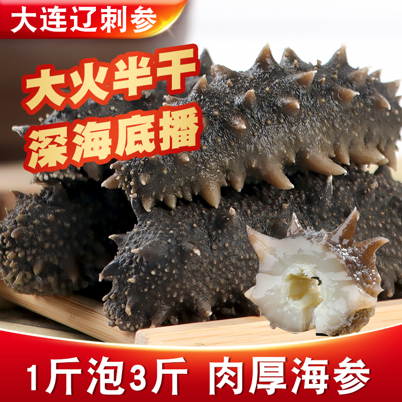 3斤大连辽刺参深海拉缸盐海参半干海参[47-53头左右/500g]