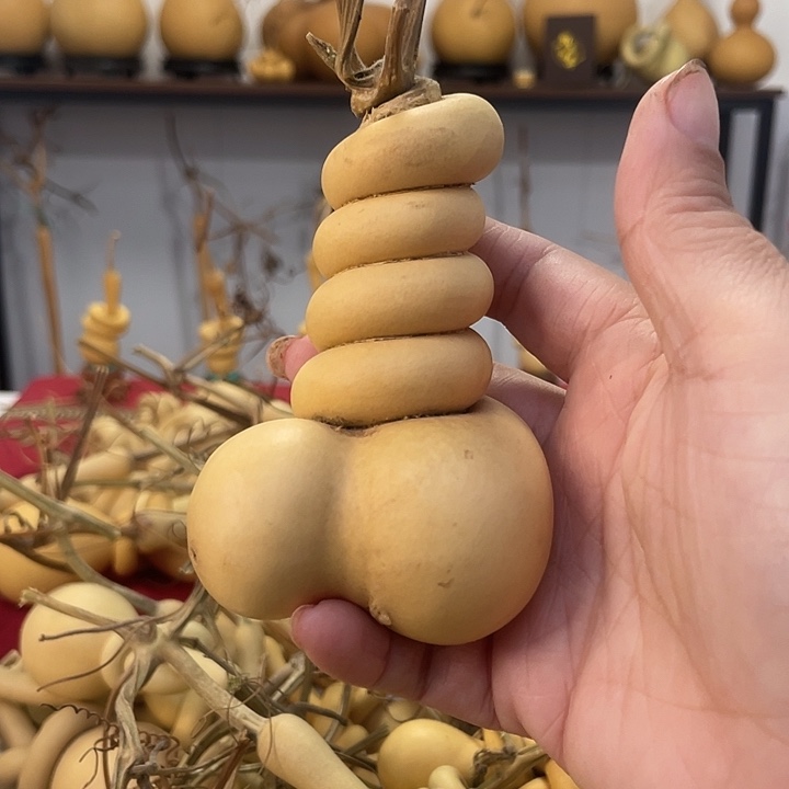 大叶紫檀（黑酸枝木类）?****e