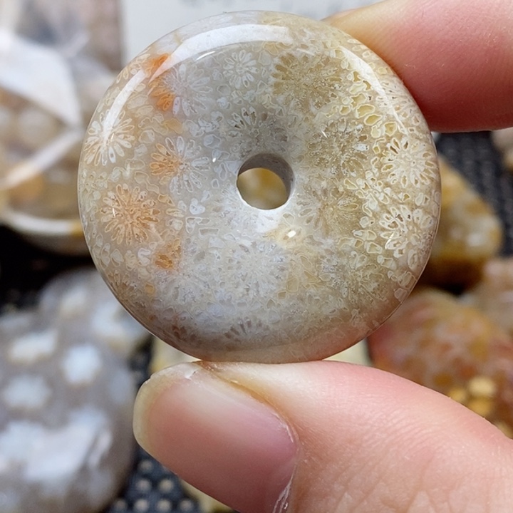硅化珊瑚（珊瑚玉）颈饰未镶嵌