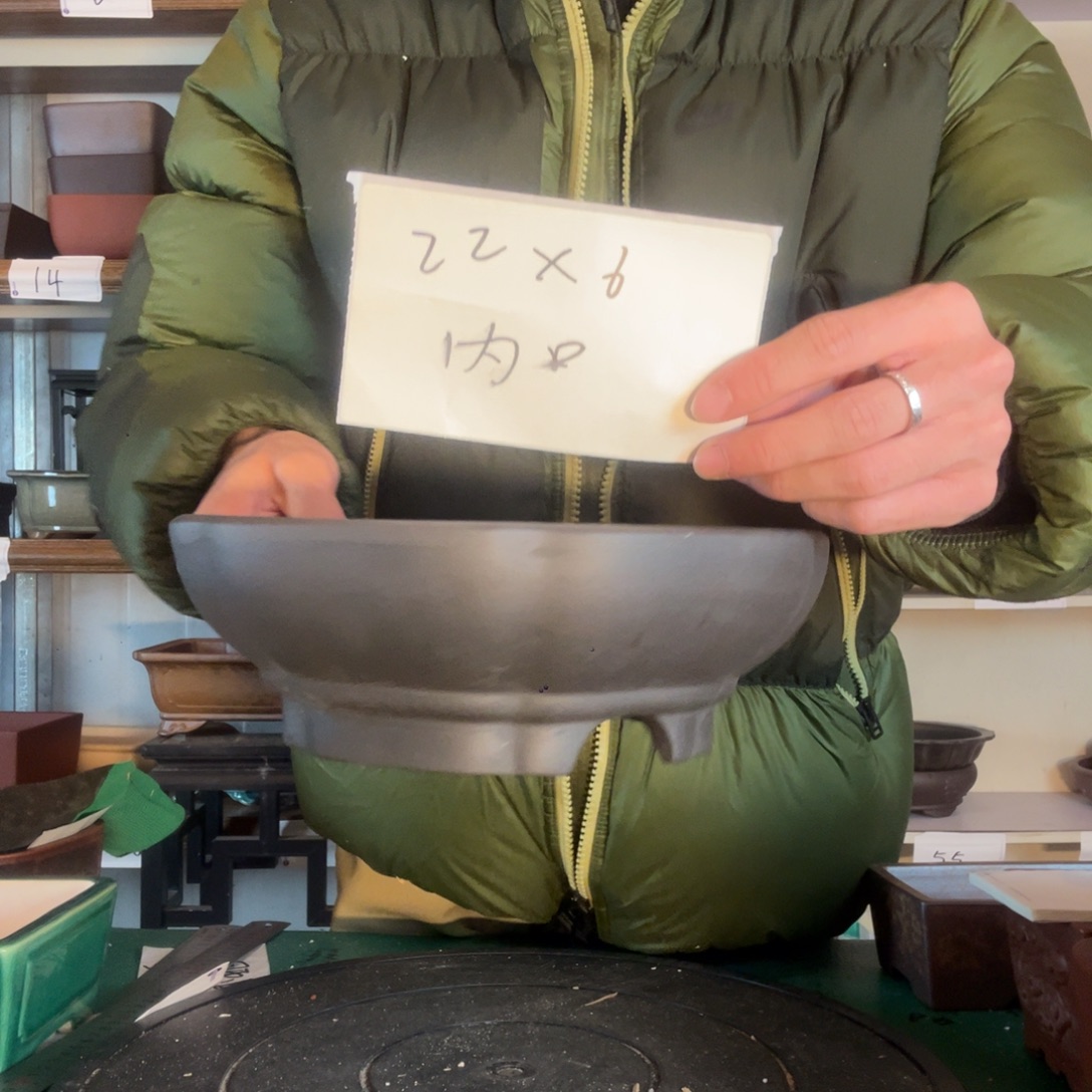 有一个公共英语很尴尬