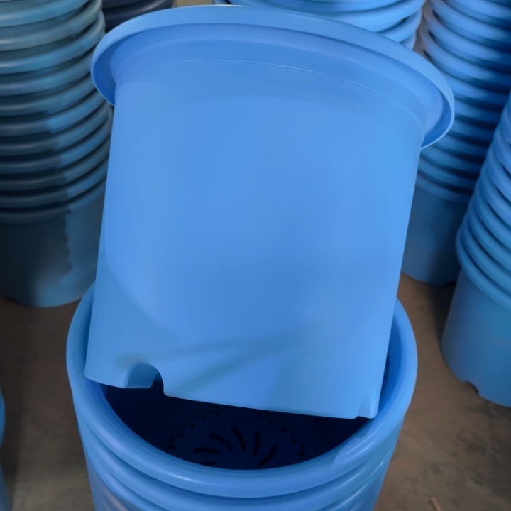 特价6号7个无托蓝色