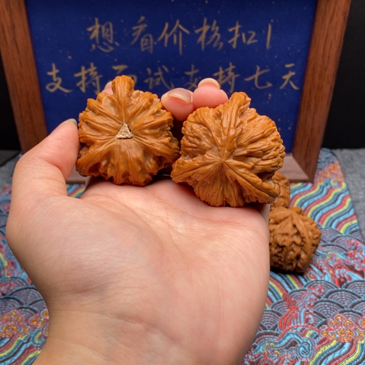 【闪购商品】皇*白狮