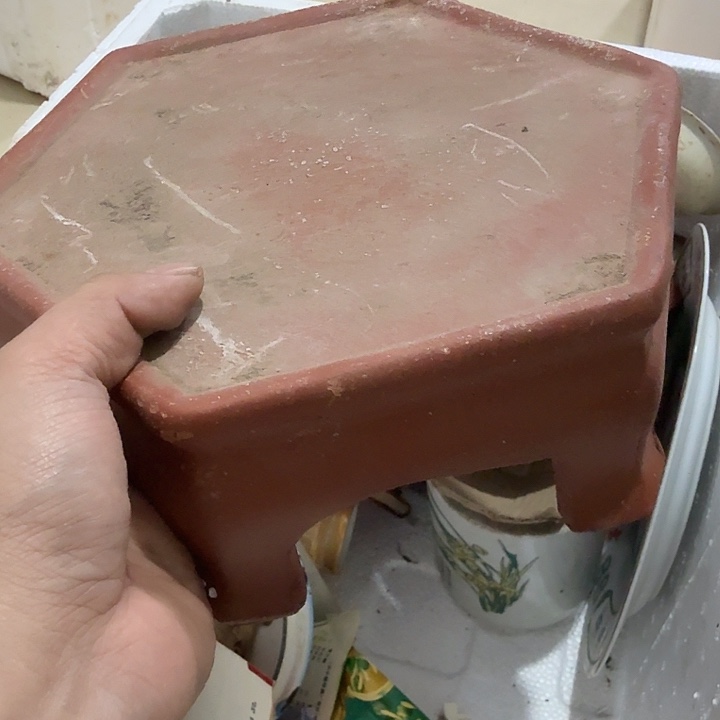 风***子扇子吃g火锅哈哈哈哈哈哈哈