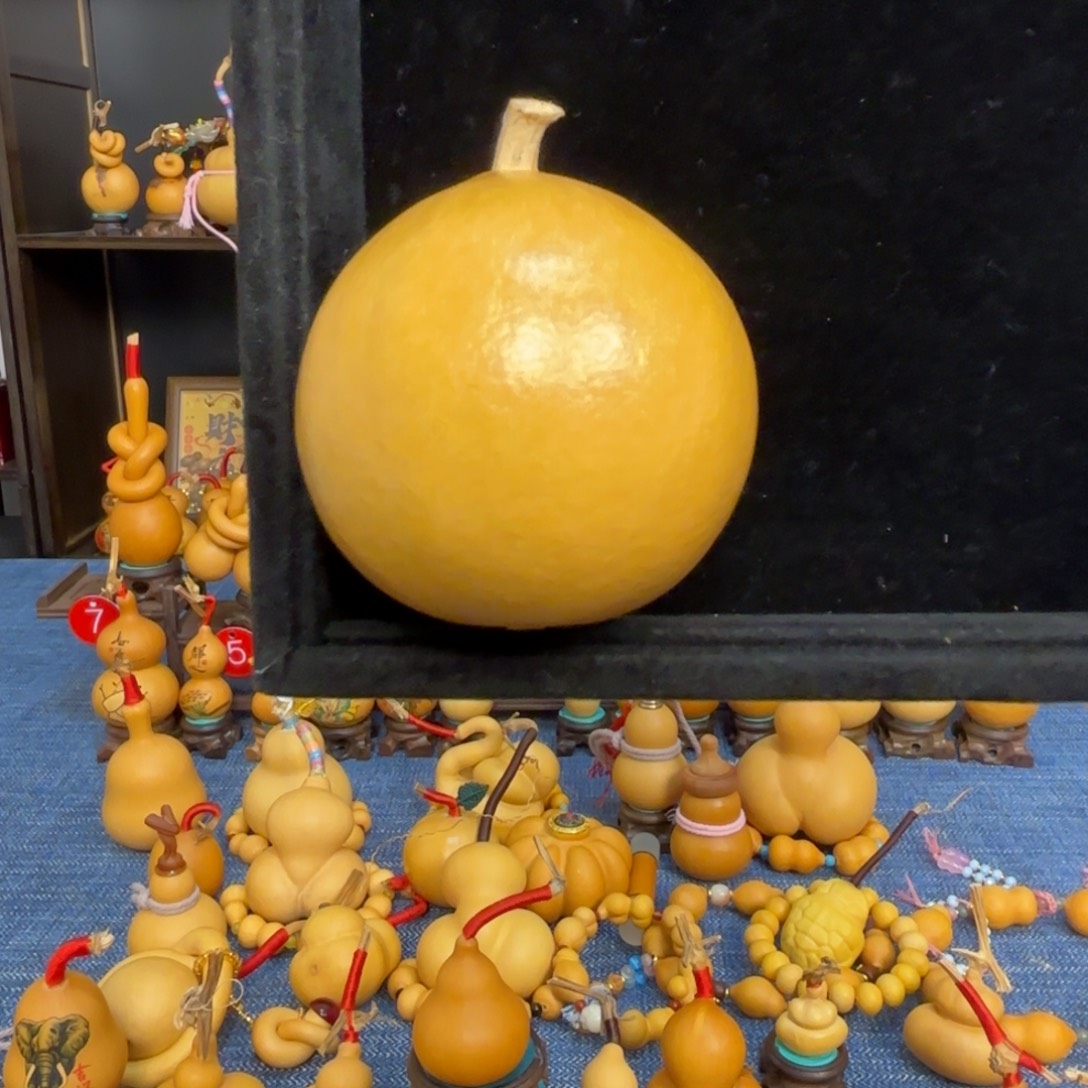 c***e直播间专用 一物一拍