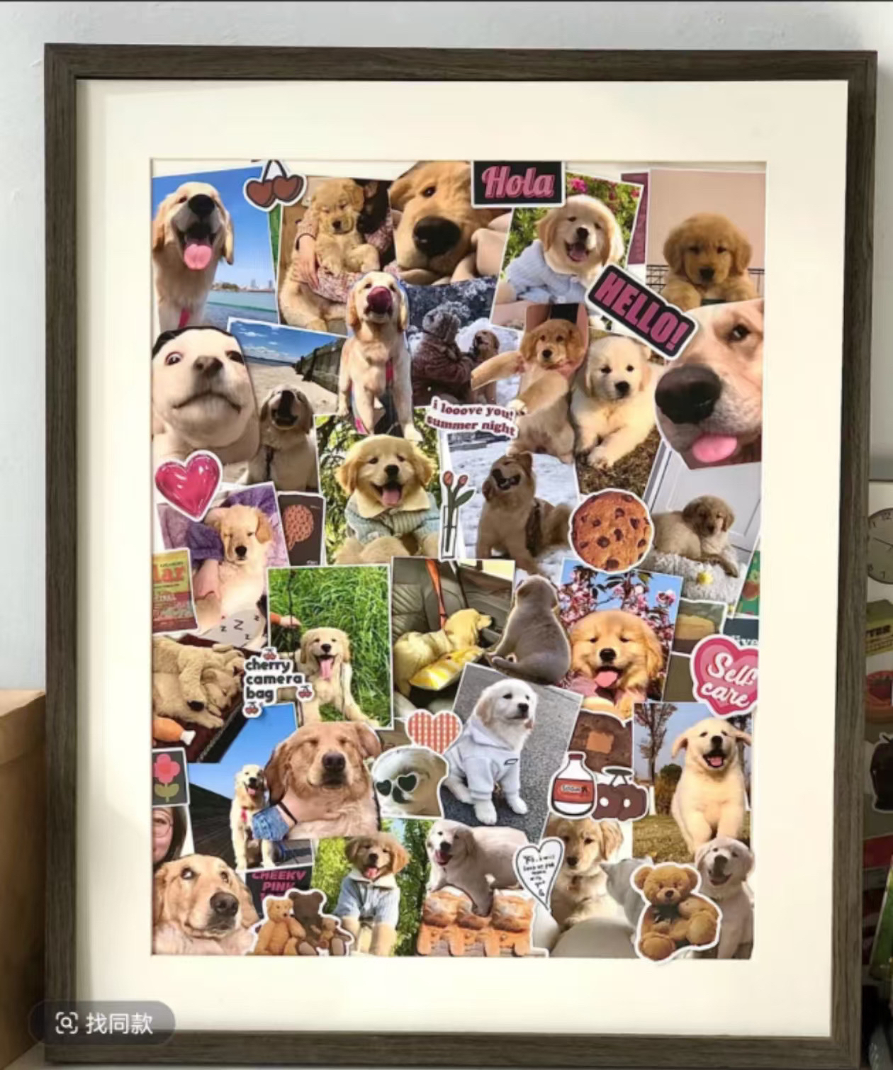 （宠物相册）定金拍前咨询客服