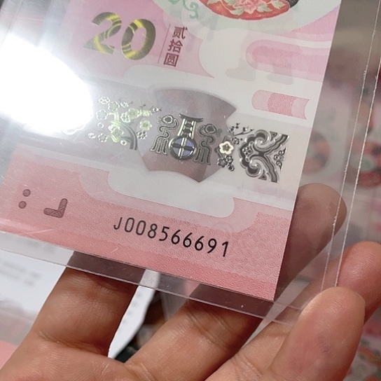 塑料2025年蛇钞如意所示