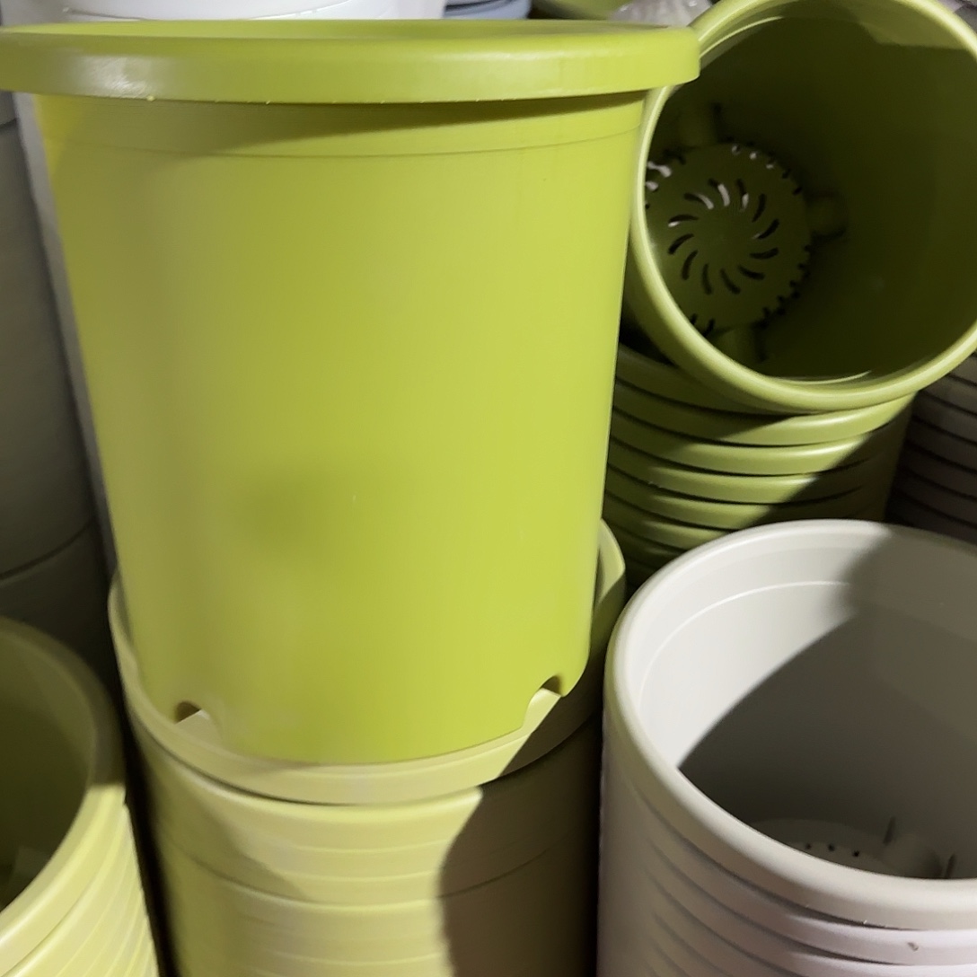 树脂四季7号无托6个果绿微瑕