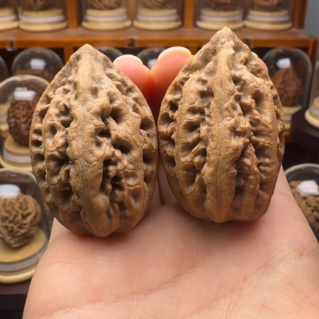 文玩核桃把件龙纹粗筋
