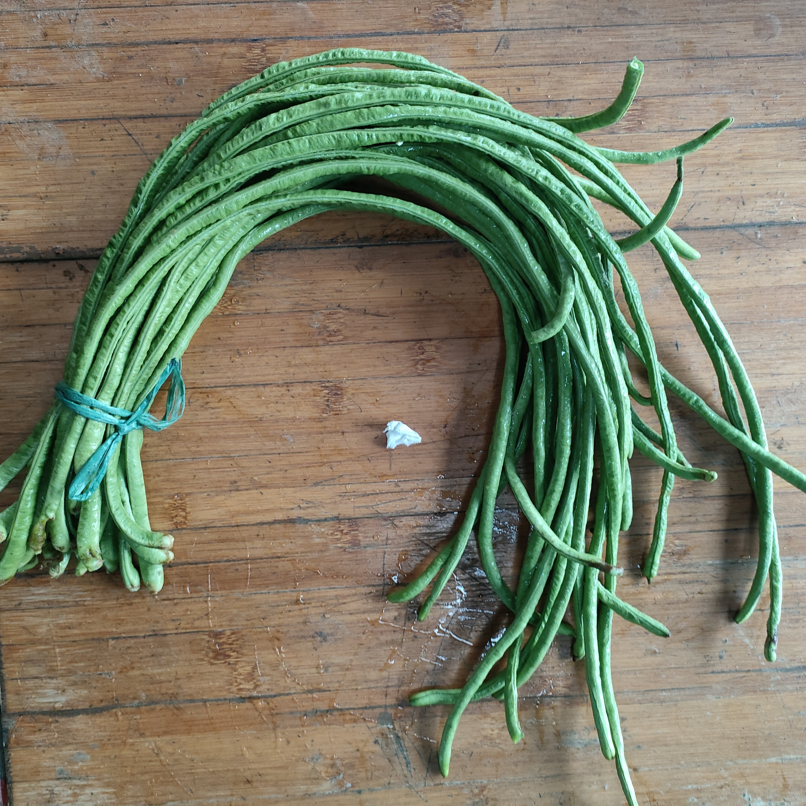 现摘新鲜长豆角自家种无科技健康