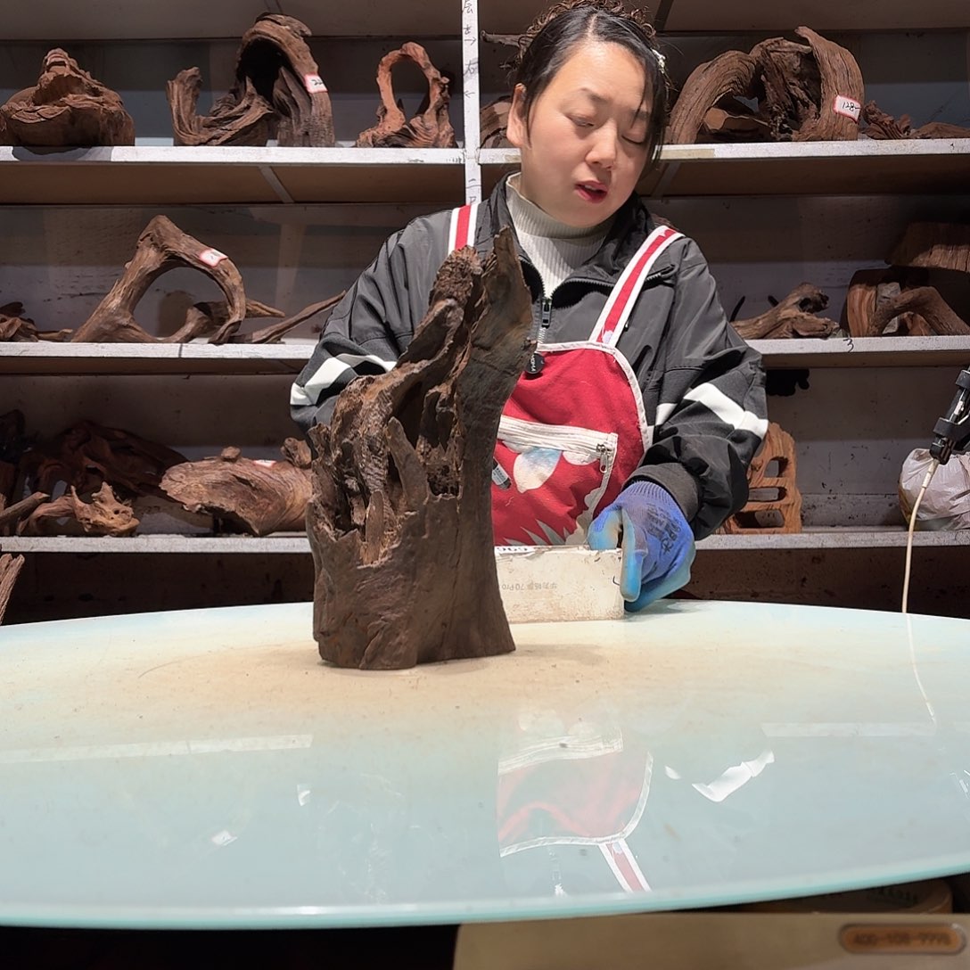 倍诸沉木不包损必褪色素*6950