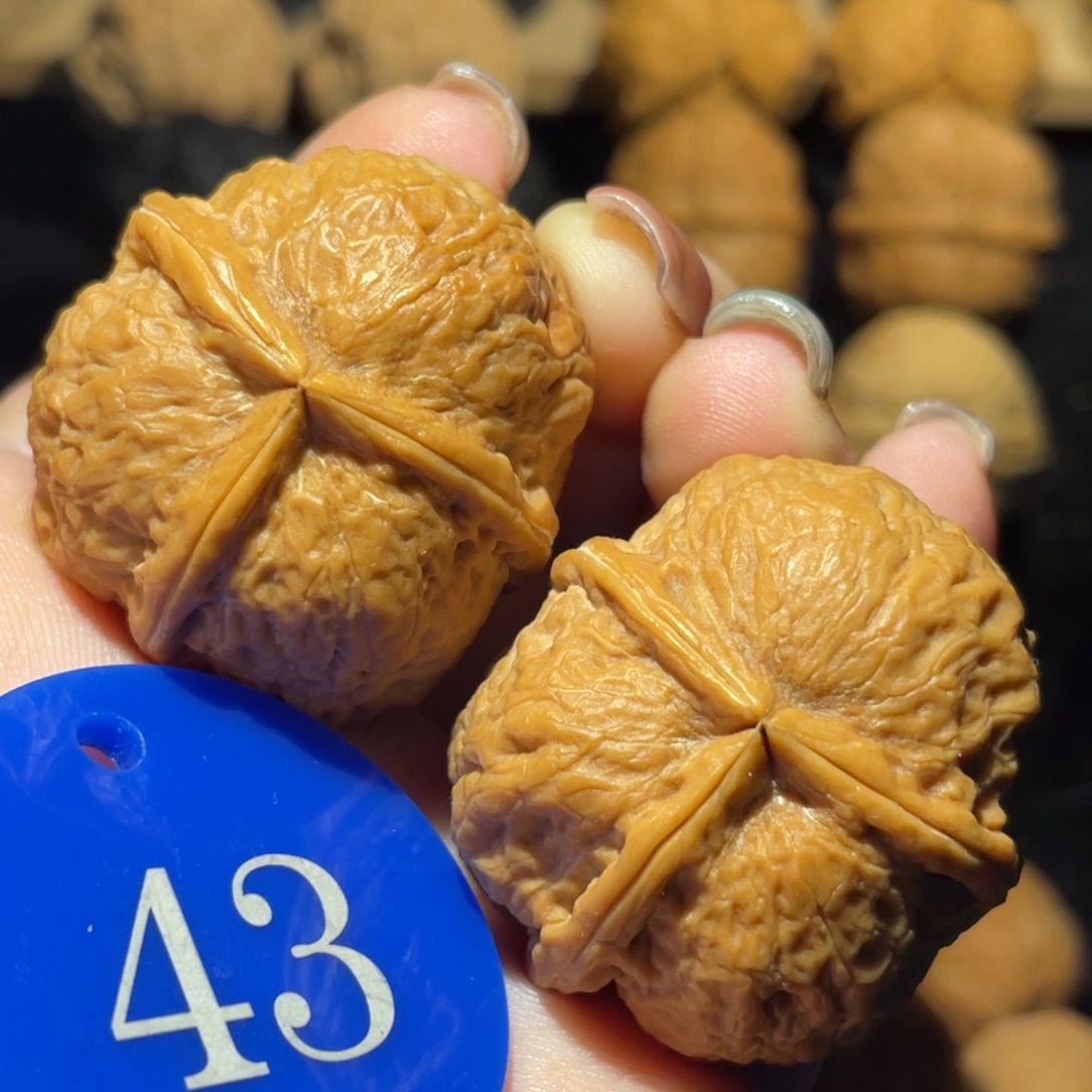 三棱36尺寸核桃。   