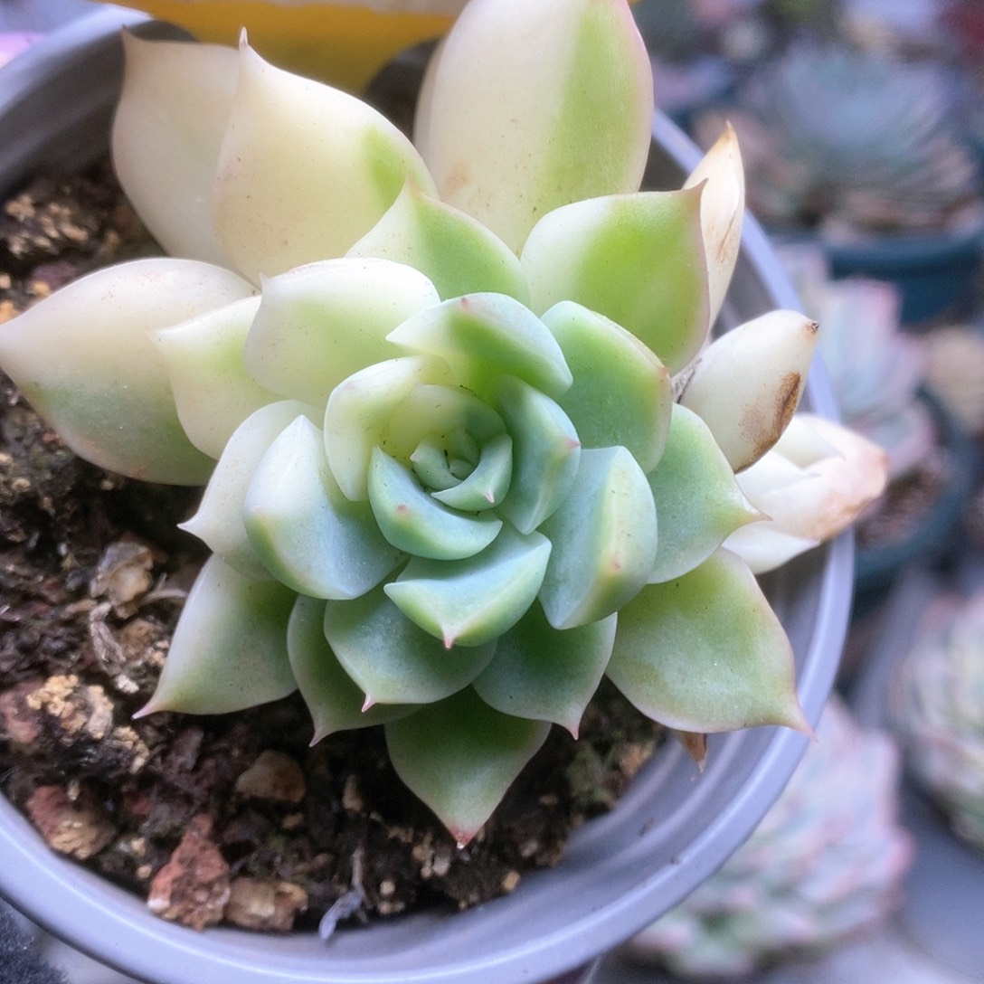 0043哈哈哈哈哈哈哈哈