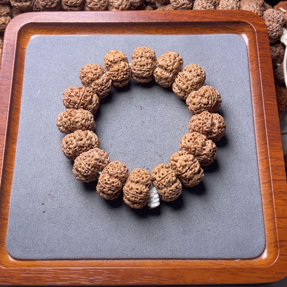 菩提籽类6号金刚菩提梅花夹板23.5/24