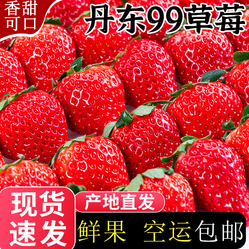 【亏本冲量】丹东新鲜草莓空运包邮当季红颜奶油现货速发应季香甜